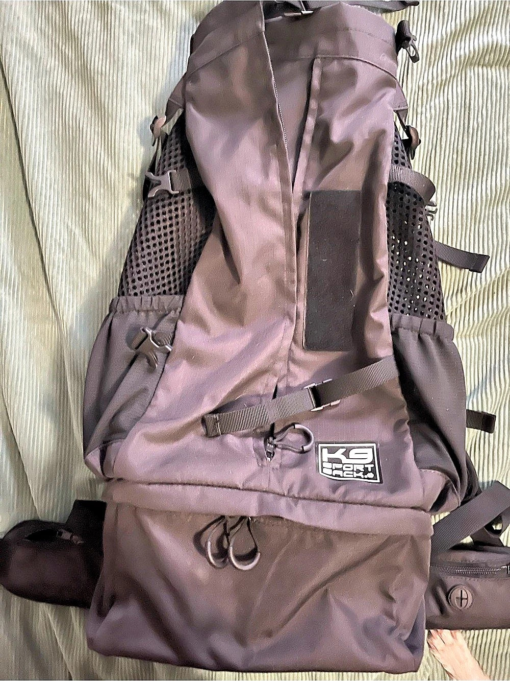 K9 Sport Sack Knavigate